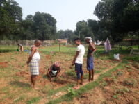 Farmers in village